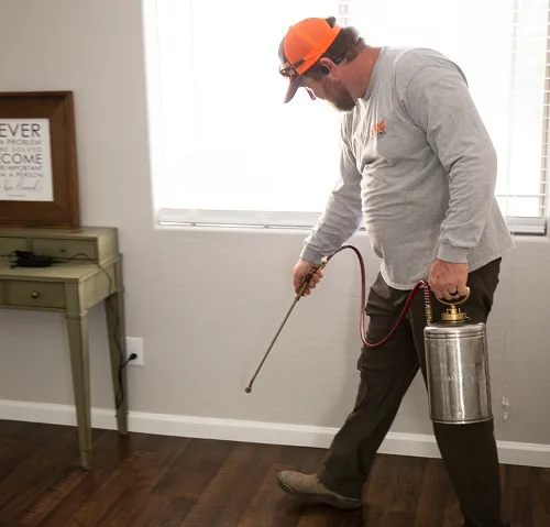 Employee treating for cockroaches