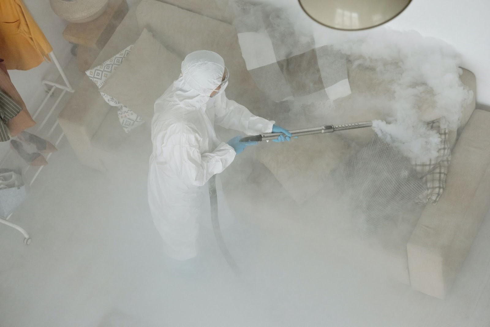 What is the Best Way to Prevent Pest Infestation