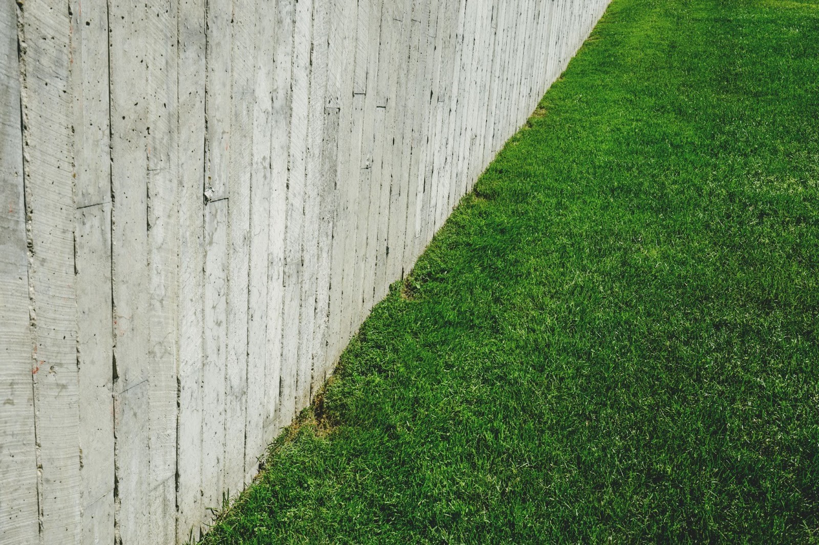 What is the Best Way to Prevent Pest Infestation