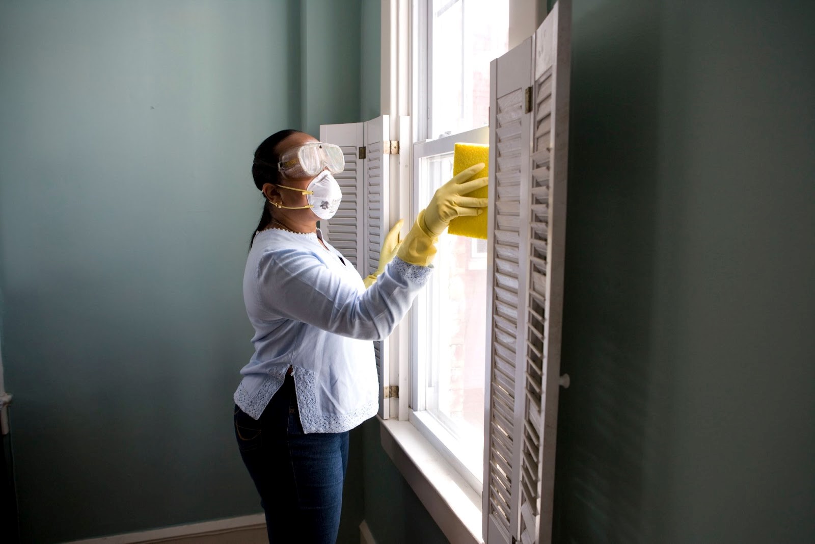 Wood Destroying Insect Inspection