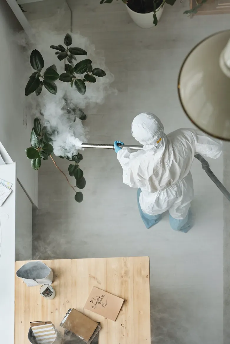 Pest Control Vs Exterminator