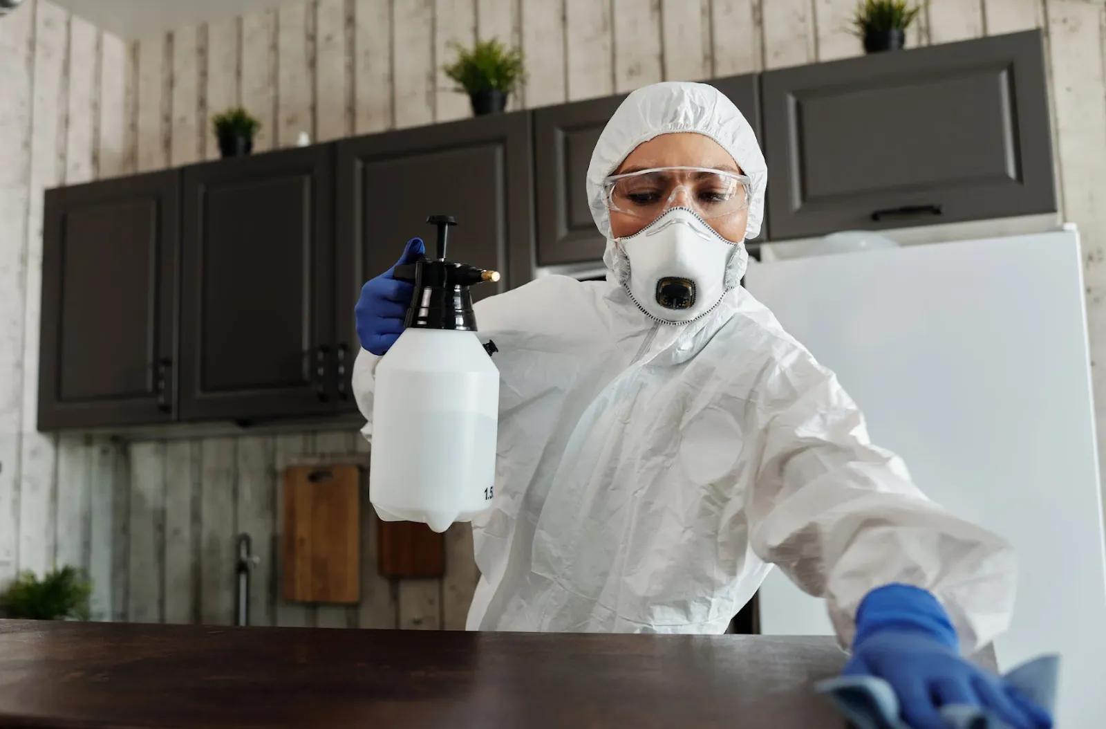 Pest Control Vs Exterminator